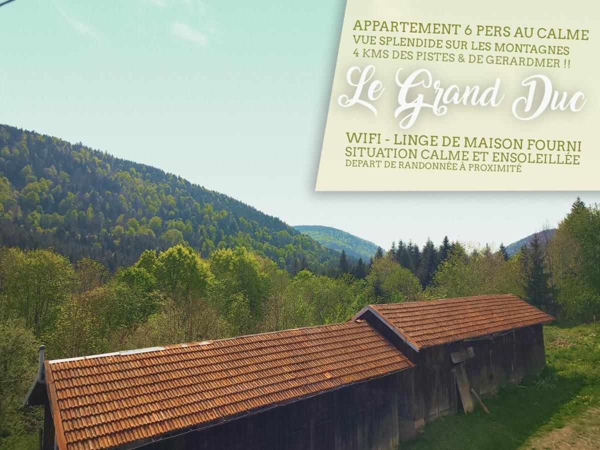 ⁂⁂ Le Grand Duc Appartement Cledicihome / Magnifique Vue Sur Les Montagnes / 4 Kms De Gerardmer ! ⁂⁂ Rochesson 外观 照片