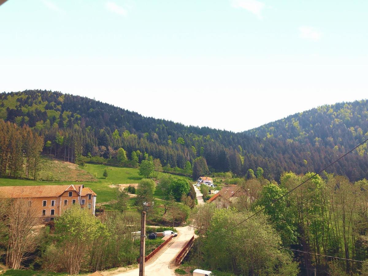 ⁂⁂ Le Grand Duc Appartement Cledicihome / Magnifique Vue Sur Les Montagnes / 4 Kms De Gerardmer ! ⁂⁂ Rochesson 外观 照片