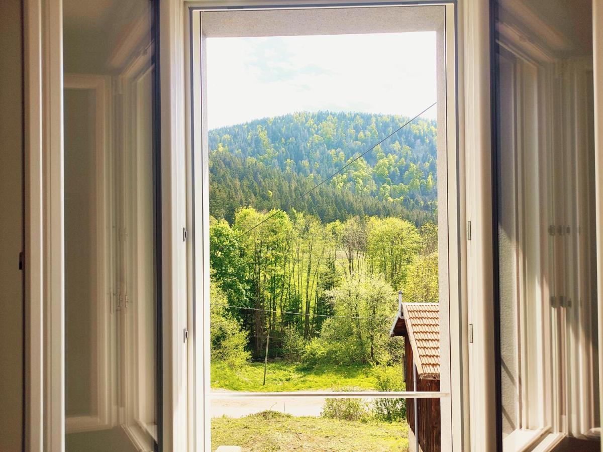 ⁂⁂ Le Grand Duc Appartement Cledicihome / Magnifique Vue Sur Les Montagnes / 4 Kms De Gerardmer ! ⁂⁂ Rochesson 外观 照片