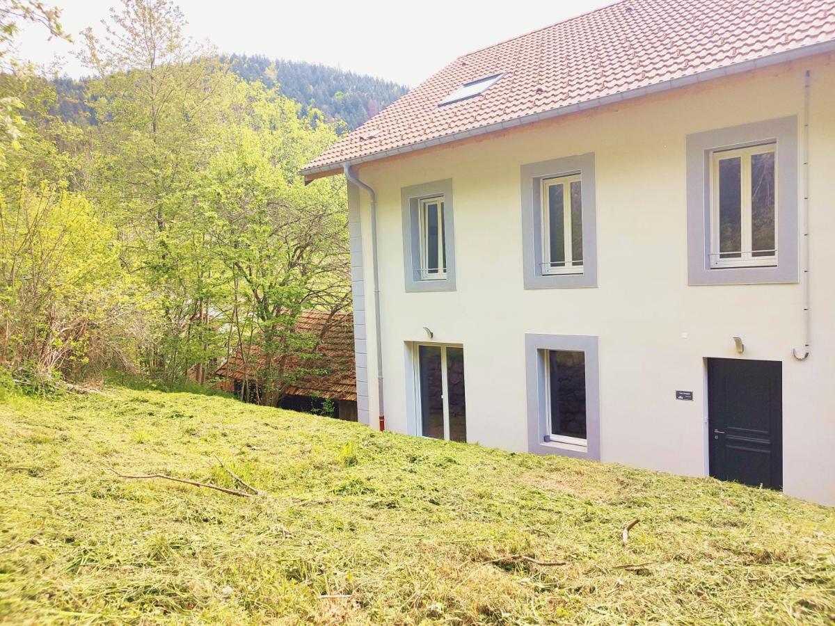 ⁂⁂ Le Grand Duc Appartement Cledicihome / Magnifique Vue Sur Les Montagnes / 4 Kms De Gerardmer ! ⁂⁂ Rochesson 外观 照片